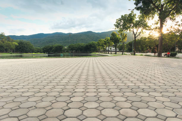 Best Concrete Paver Driveway  in Clayton, GA